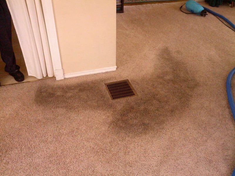 Carpet Cleaning