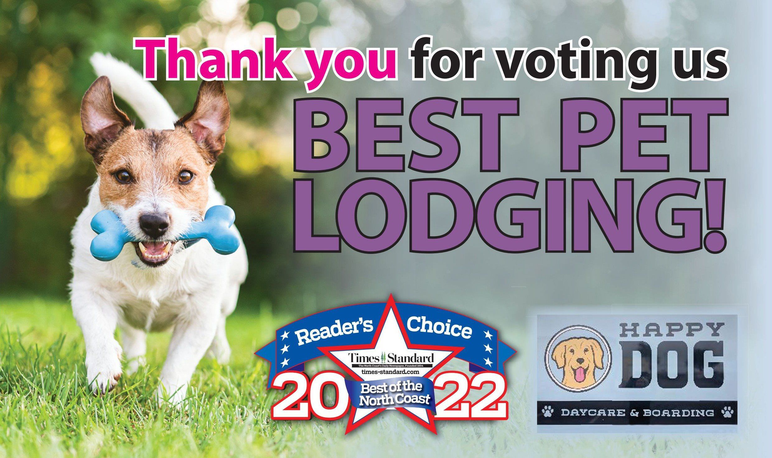 Home Eureka Happy Dog 7074425400 Happy Dog Day Care & Boarding