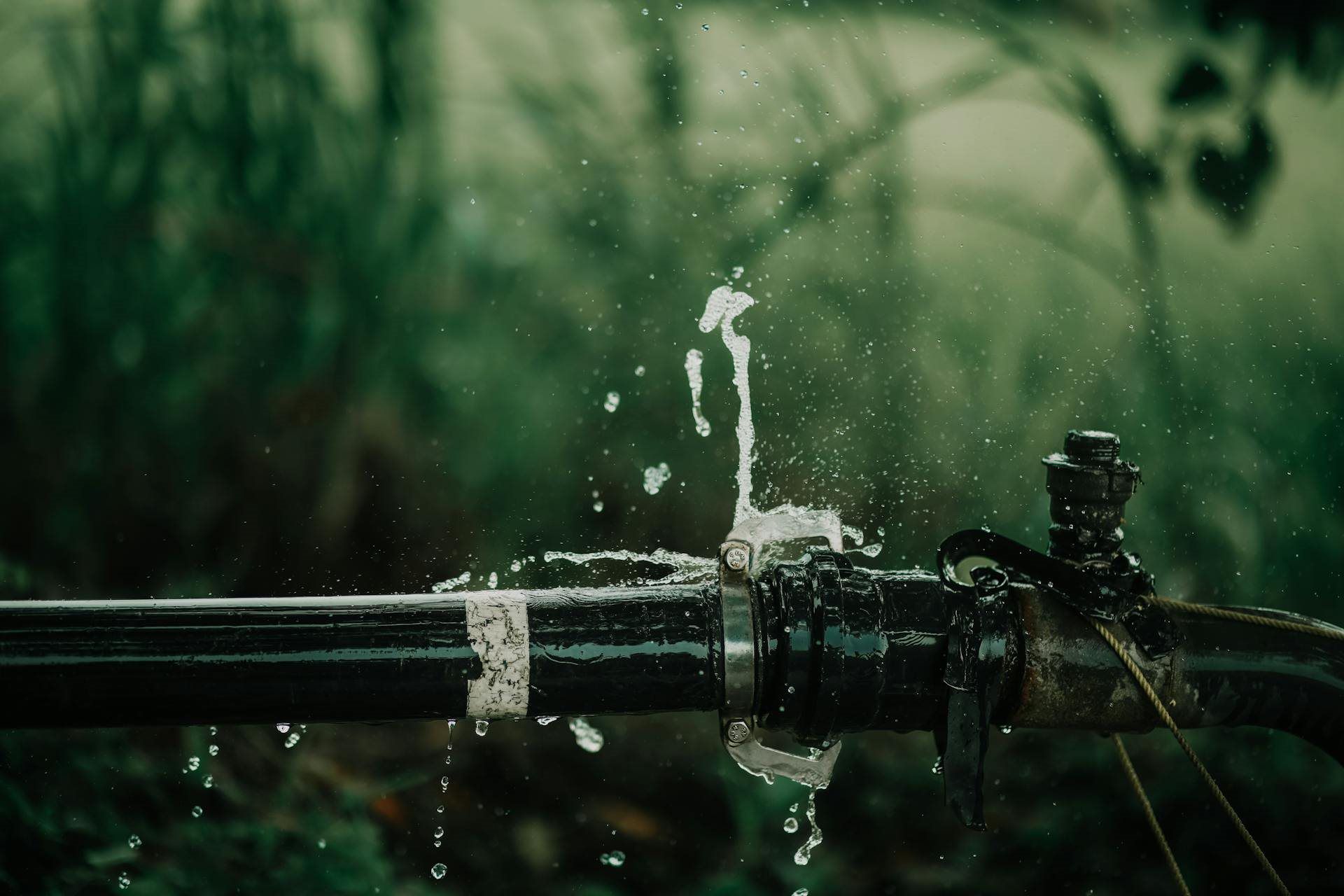 Landscape Drain Installation