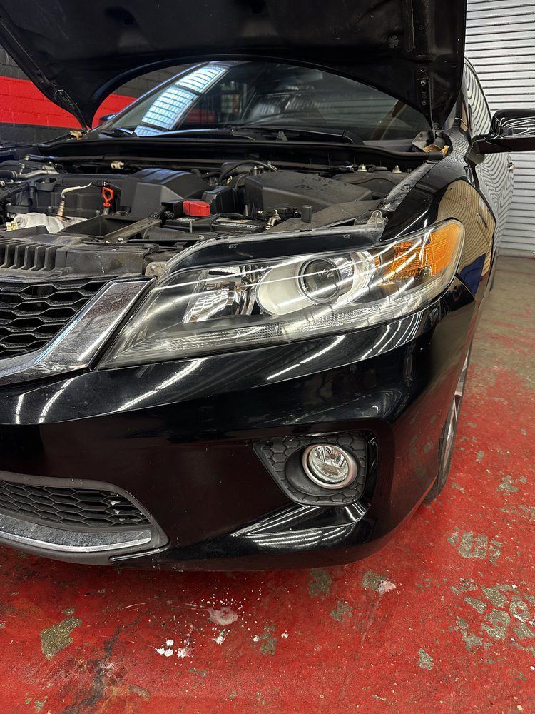 PPF (PAINT PROTECTION FILM)