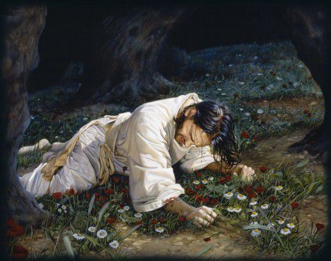 Reflection 6: The Hours of the Passion
