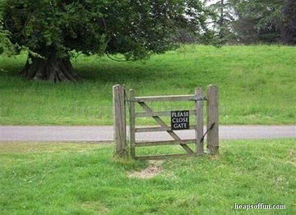 grass land