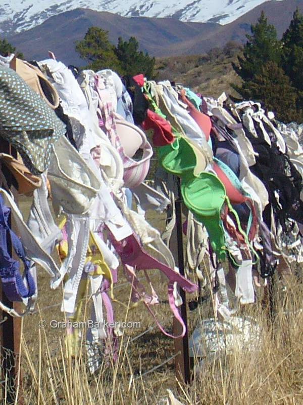 set of bra's