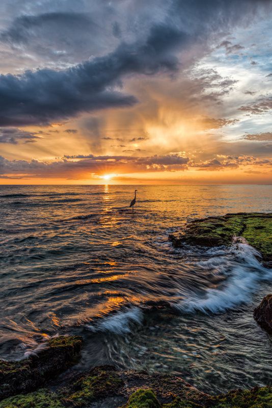 beach and sunset in Florida