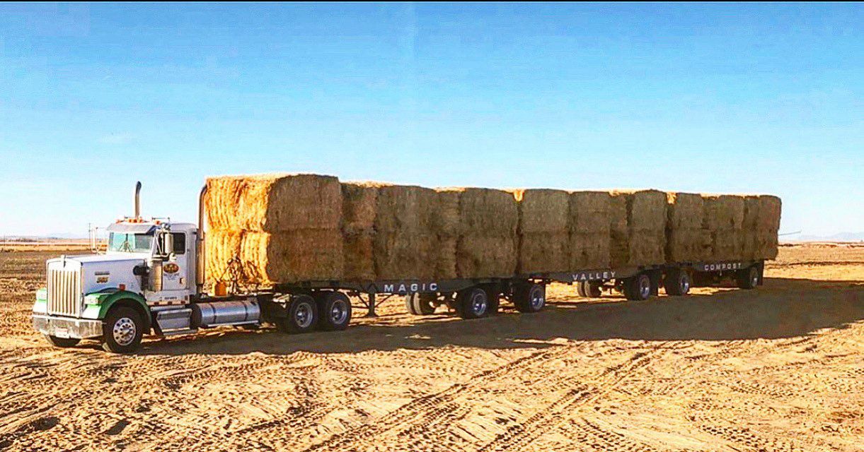 Magic Valley Compost