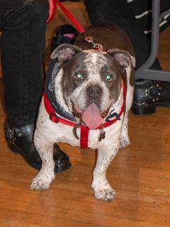 Officer Induction Ceremony 