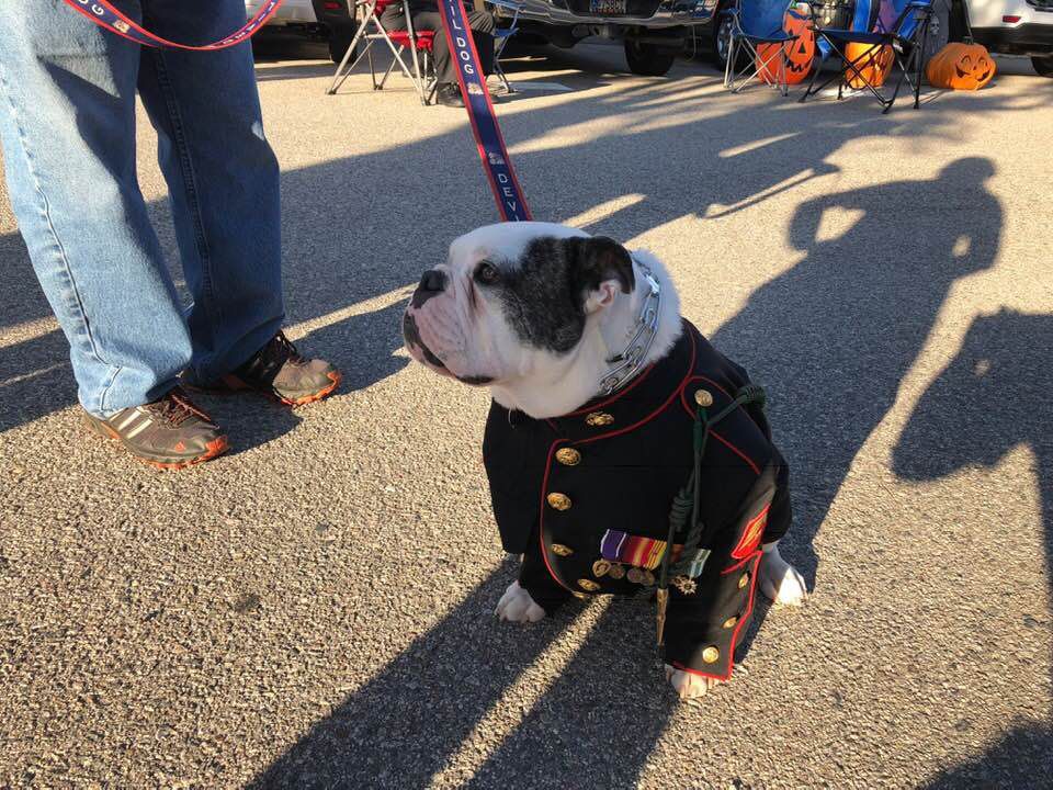 5th Marine Regiment Trunk