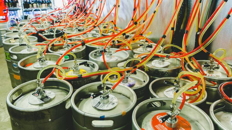 TeamMember Back Media