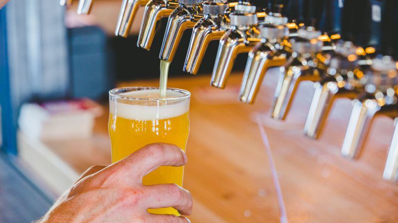 TeamMember Back Media