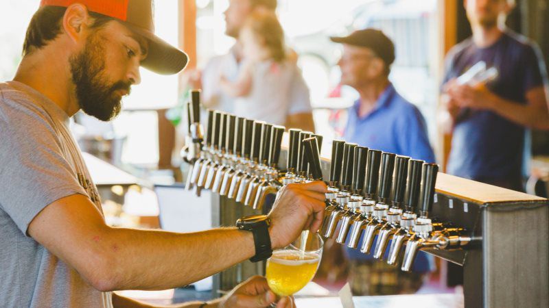 TeamMember Back Media