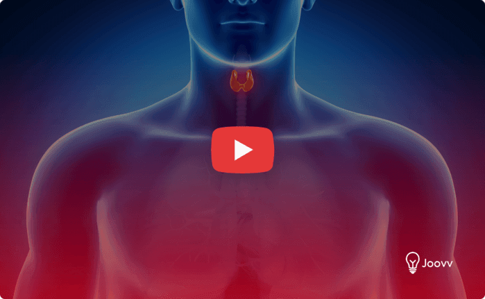 Higer Level Athletics Fitness 