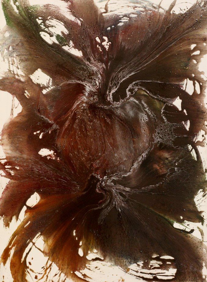 Gulf Orchid (36" x 48") image