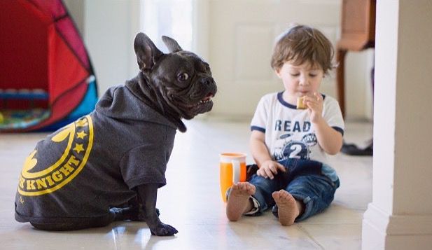 dog and kid