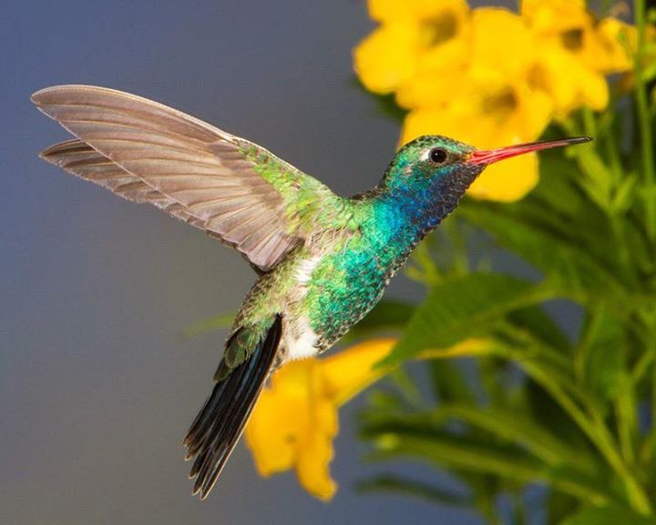 Home Together, We Make Memories!