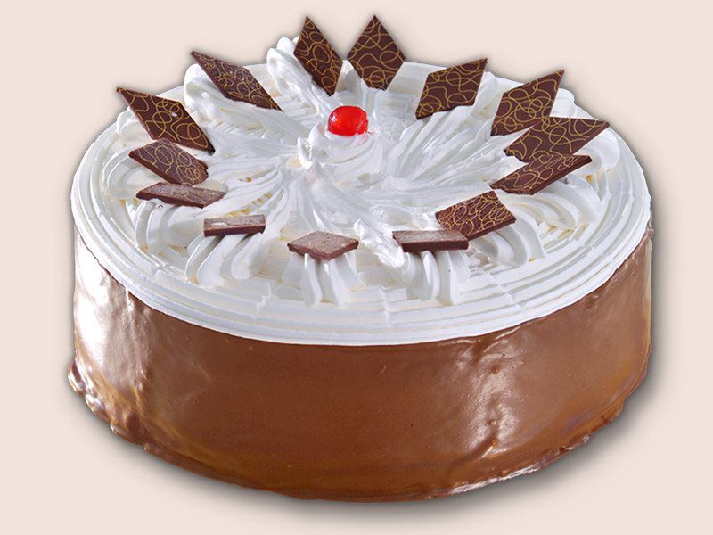 Cocoa Mousse Cake 8"