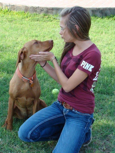 Our Dogs