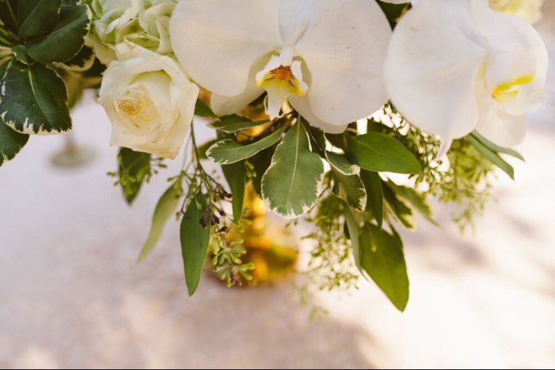 Begin the Wow Section