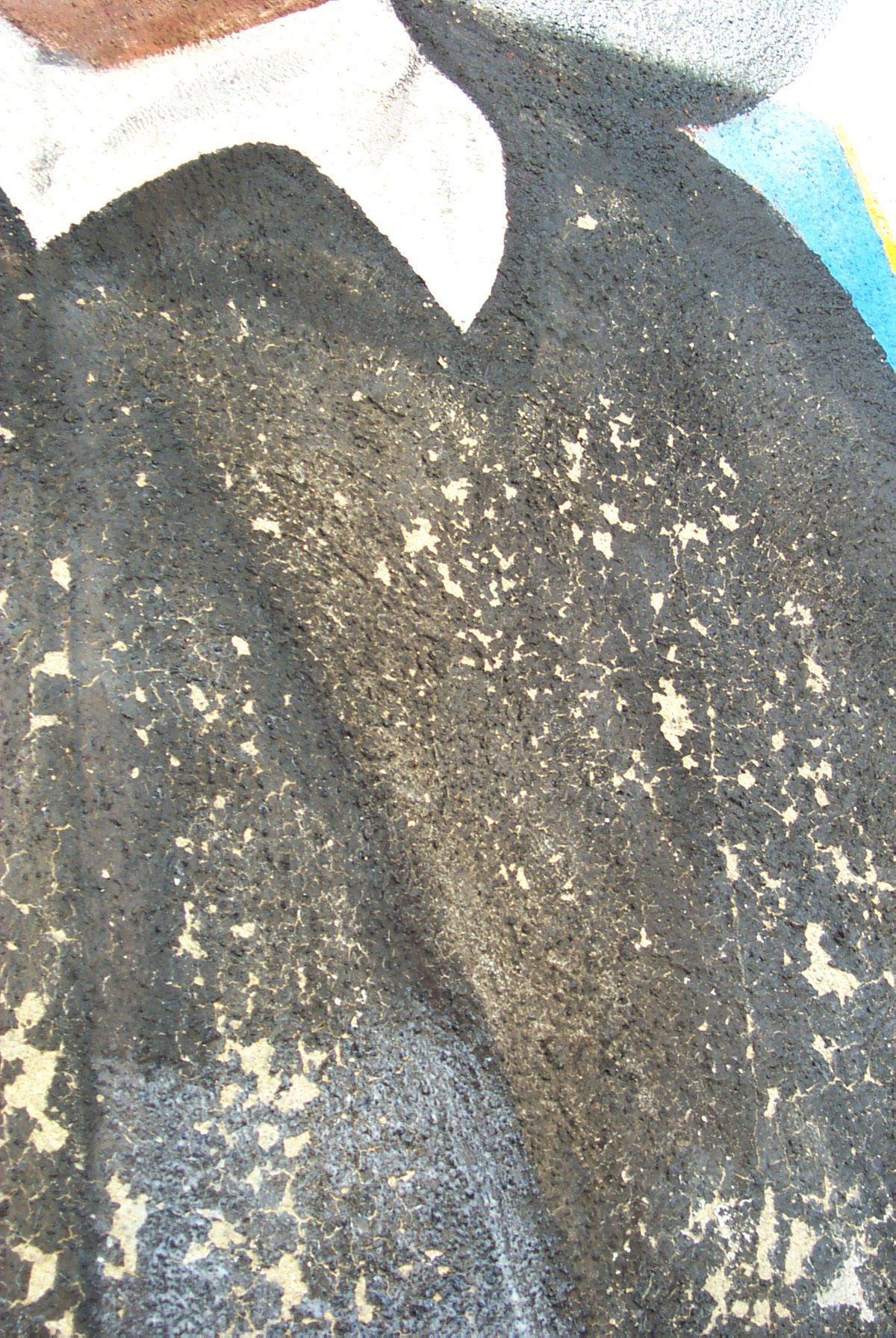 Public Art Program & Painting Conservator Miami Florida Art