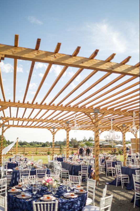 Begin the Wow Section