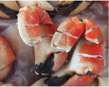 Crab