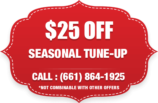 Seasonal Tune up