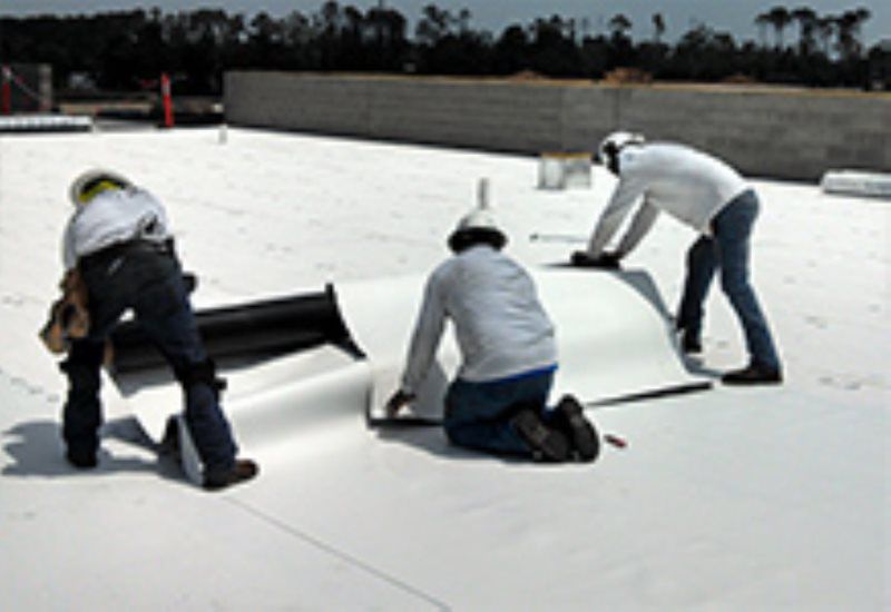 TPO (Thermo Plastic Olefin)