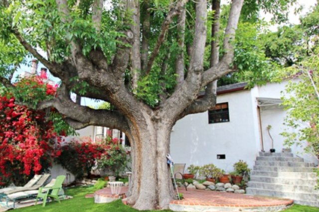 SOLD: 2609 Lake View Ave