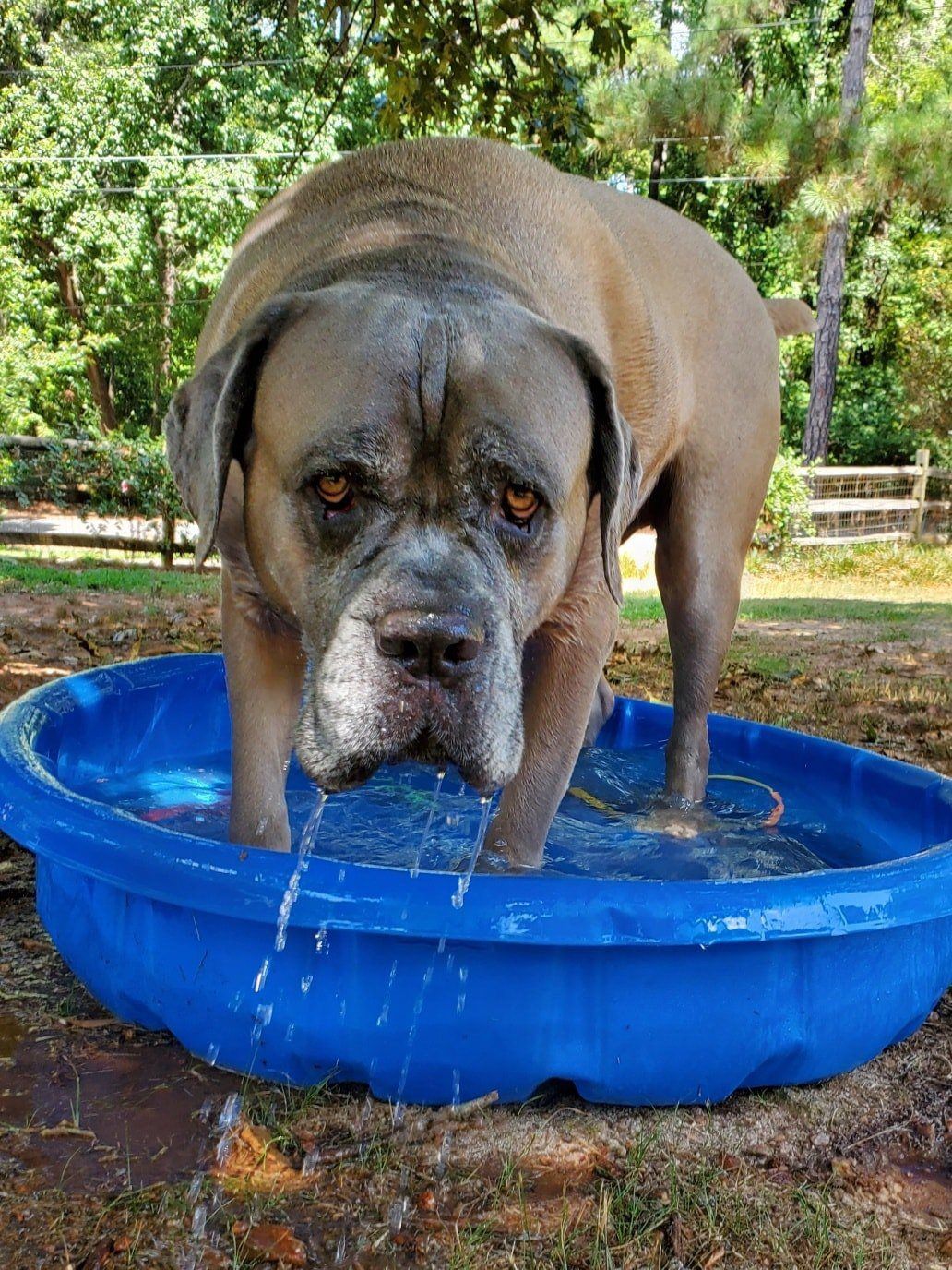 bath