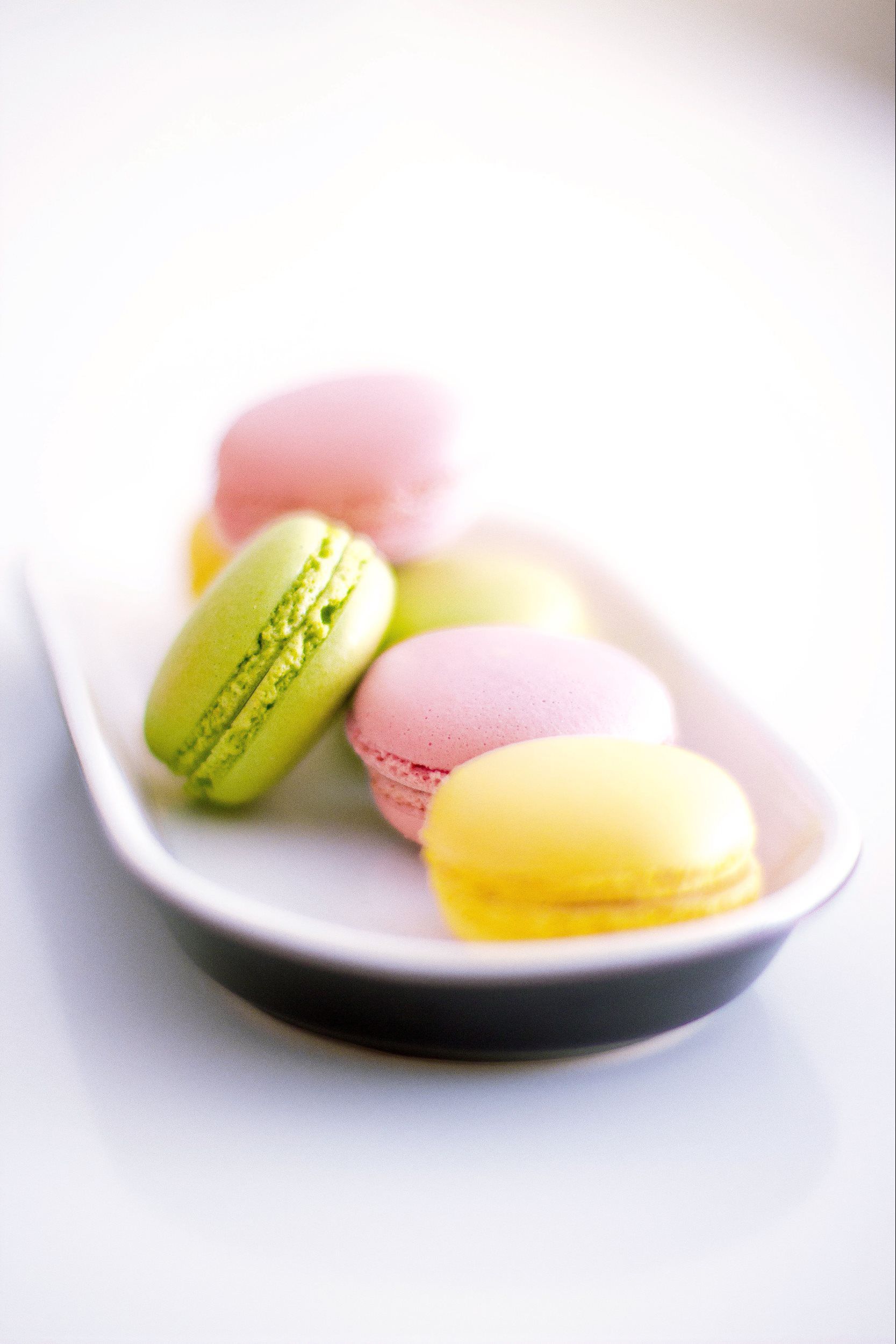 Macaroon on a Plate