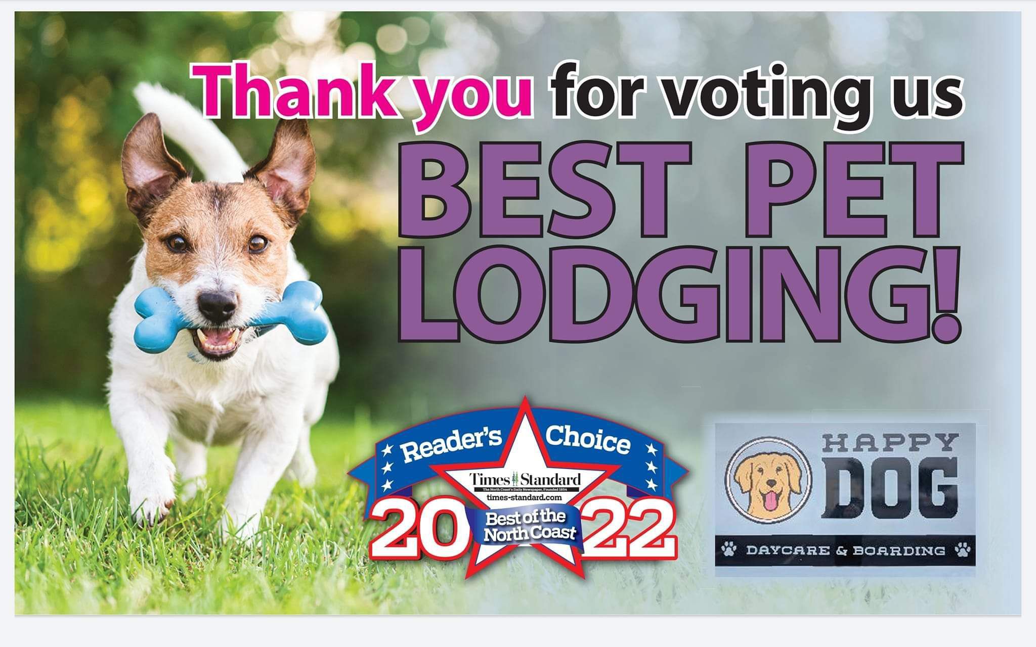 Home Eureka Happy Dog 7074425400 Happy Dog Day Care & Boarding