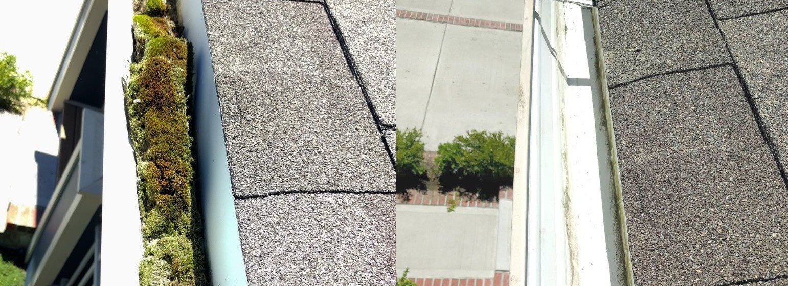 Shiny, Happy Results
