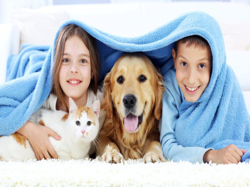 children and pets on the carpet