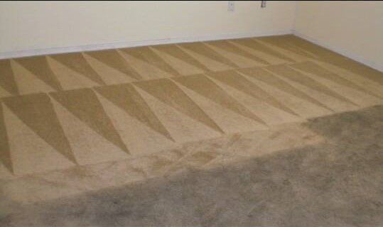 Carpet cleaning service in austin texas