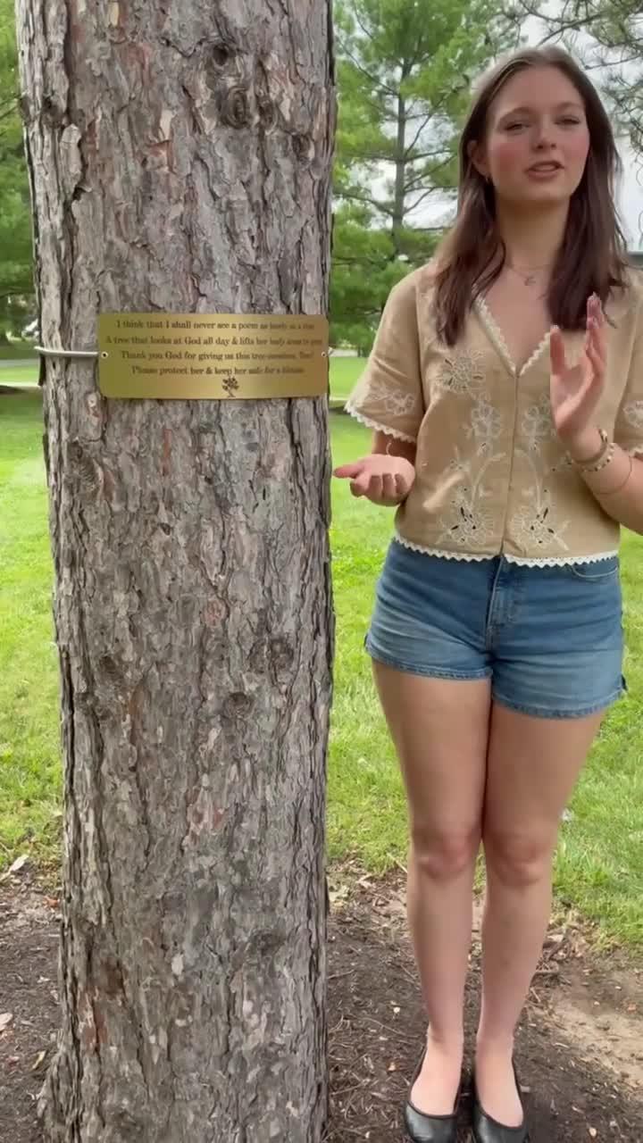 Our Champion Tree Plaque up close