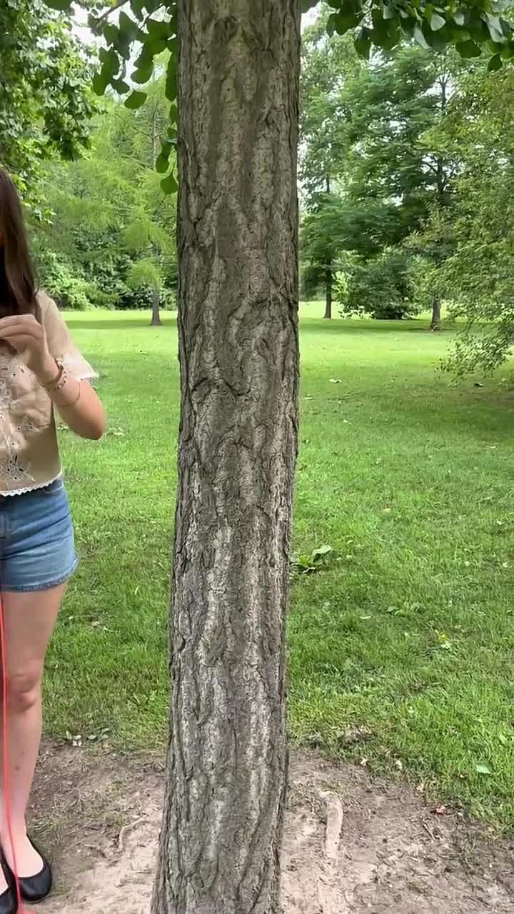 How to measure your Tree using a string