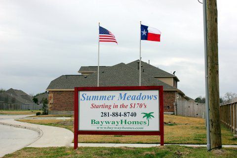 Summer Meadows