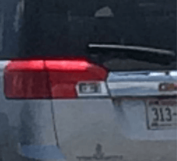 car plate number 313