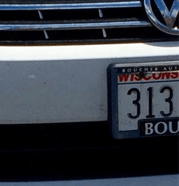 313 car plate number