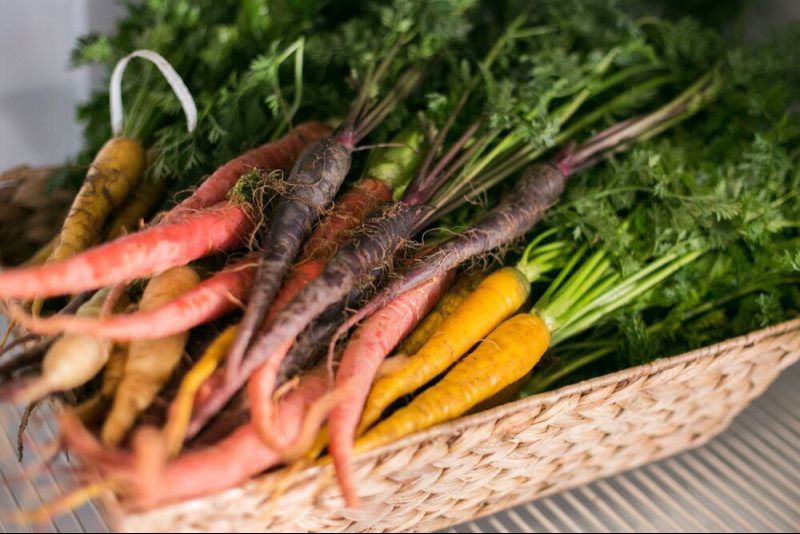 freshly picked carrots