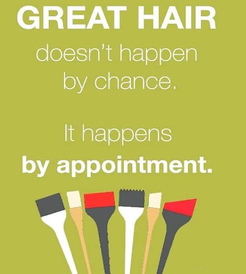 Appointments Available La Salon Bianca Rochester Ny
