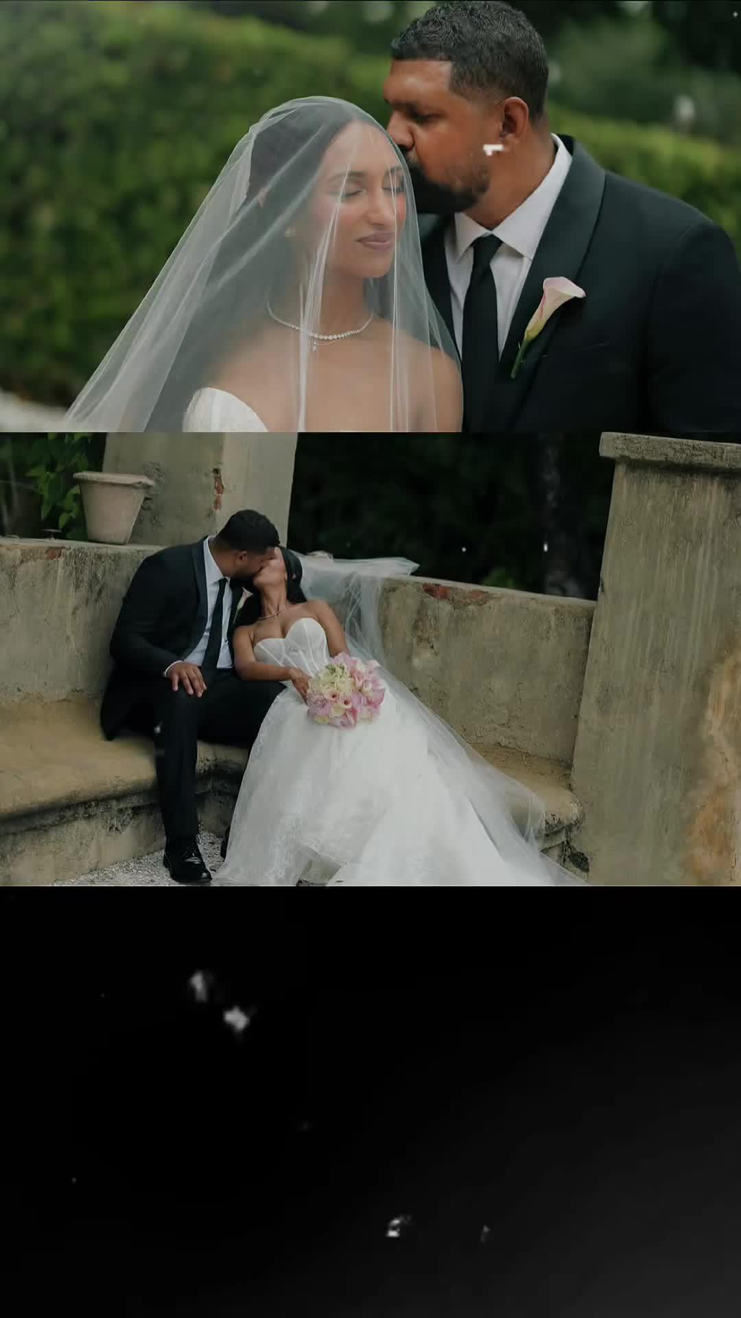 Raj and Alina Wedding