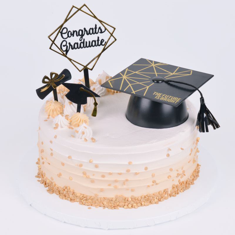 OKC ICE CREAM/FROYO CAKES OKC Frozen Cakes Oklahoma City, OK