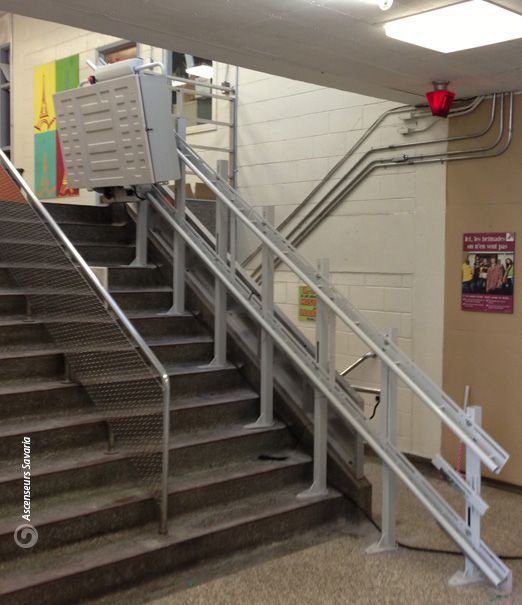 Delta Inclined Platform Lifts