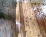 Deck and Patio Cleaning