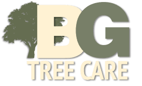 B.G. Tree Care Logo