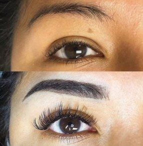 Eye lash and brows