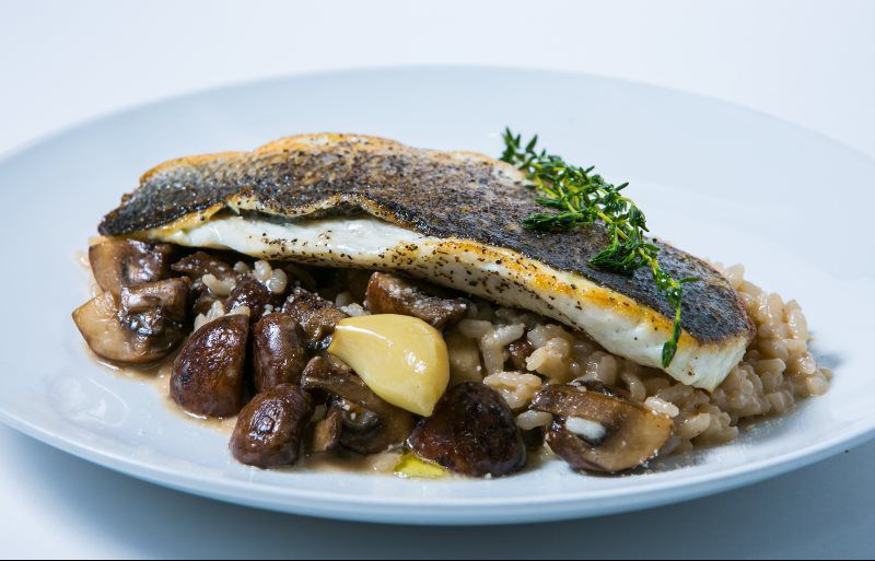 Gallery Hummus Bar and Grill