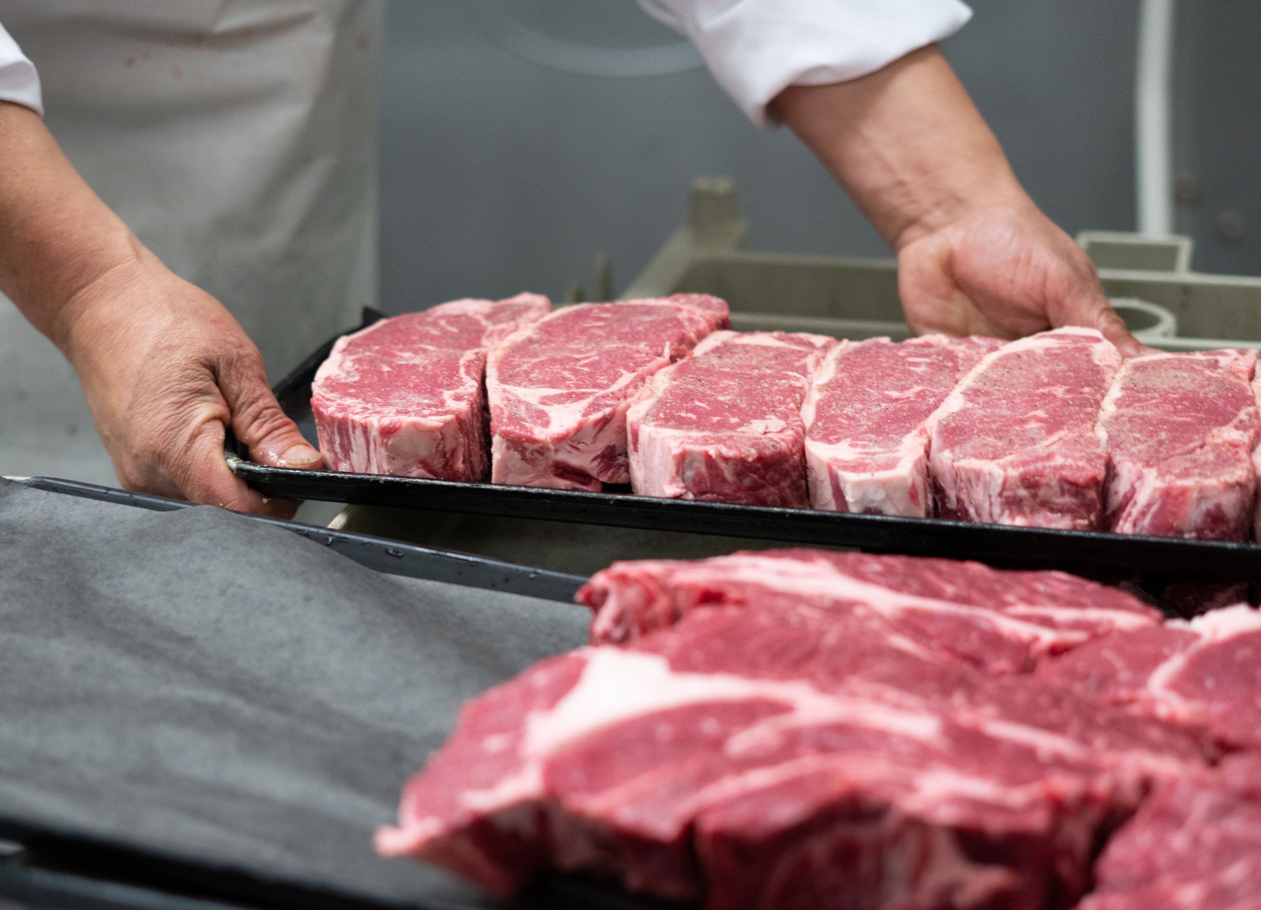 Gallery Freedom Meat Lockers