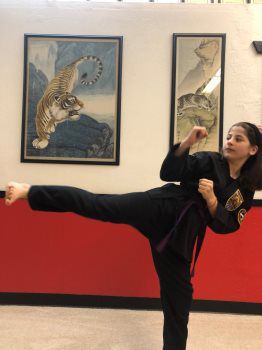 United Studios of Self Defense Palo Alto 2