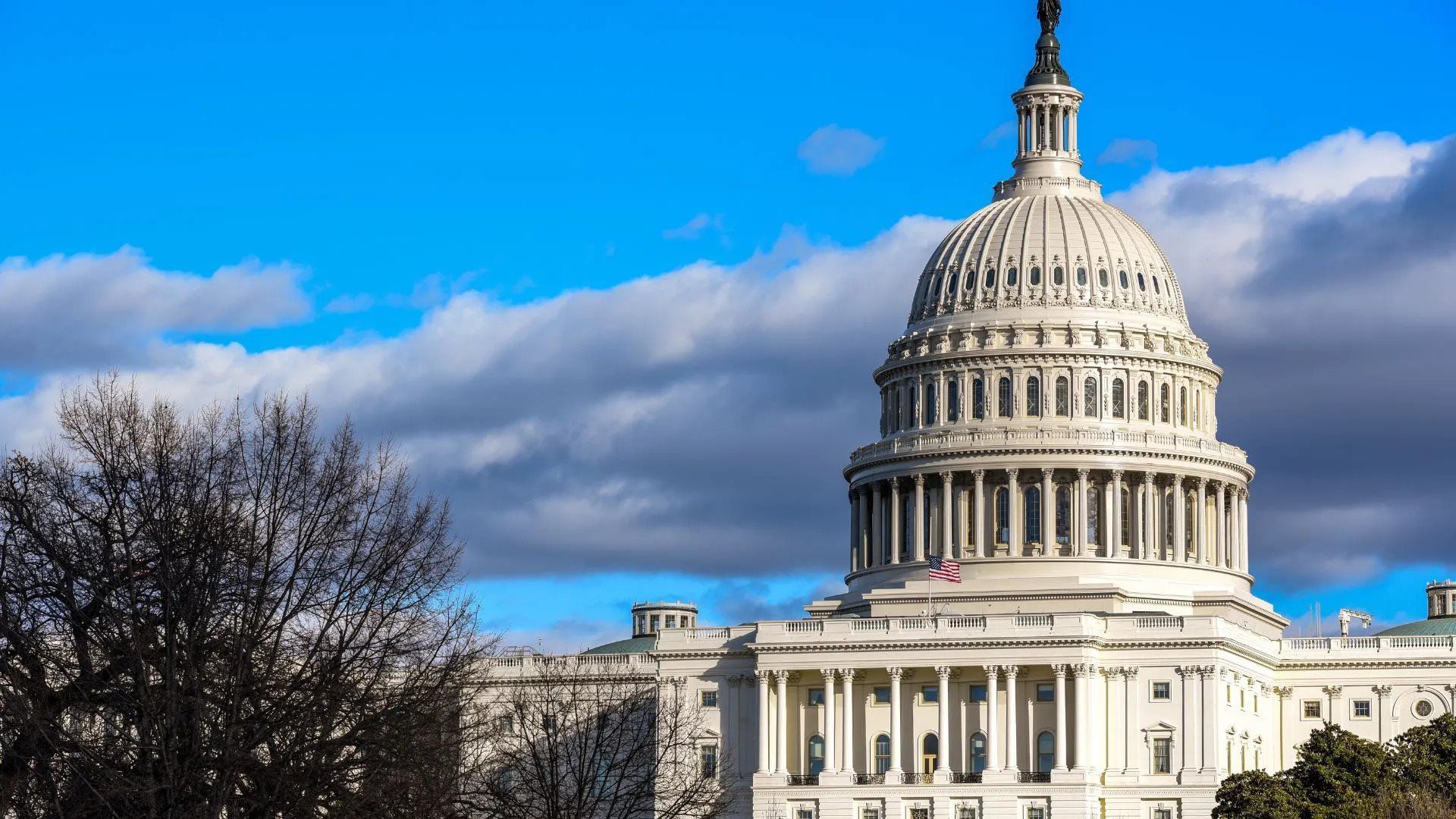 We serve homes and apartments in Washington, DC